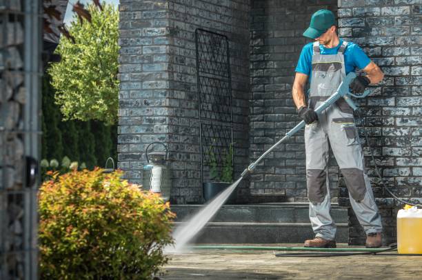 Best Roof Cleaning and Mildew Removal in Franklin, GA